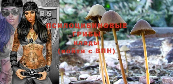 эйфоретик Верея