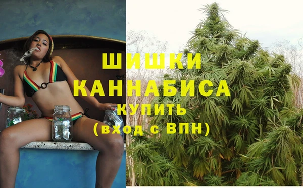 эйфоретик Верея