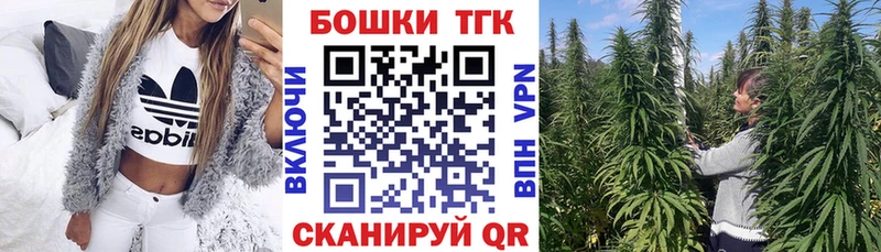 Канабис OG Kush  мега маркетплейс  Новокубанск 